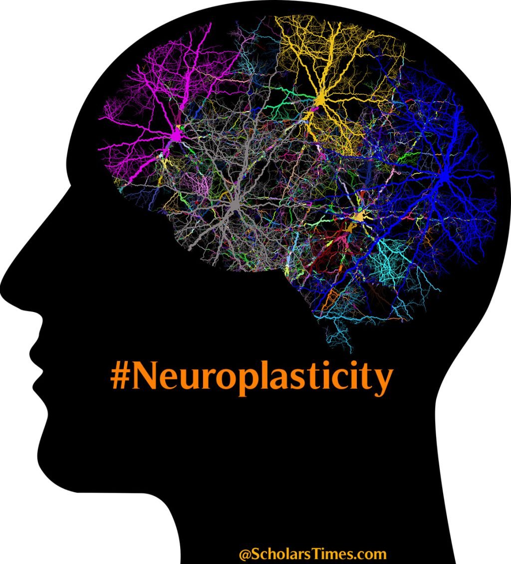 Neuroplasticity: Rewiring Your Brain for Better Function - ST