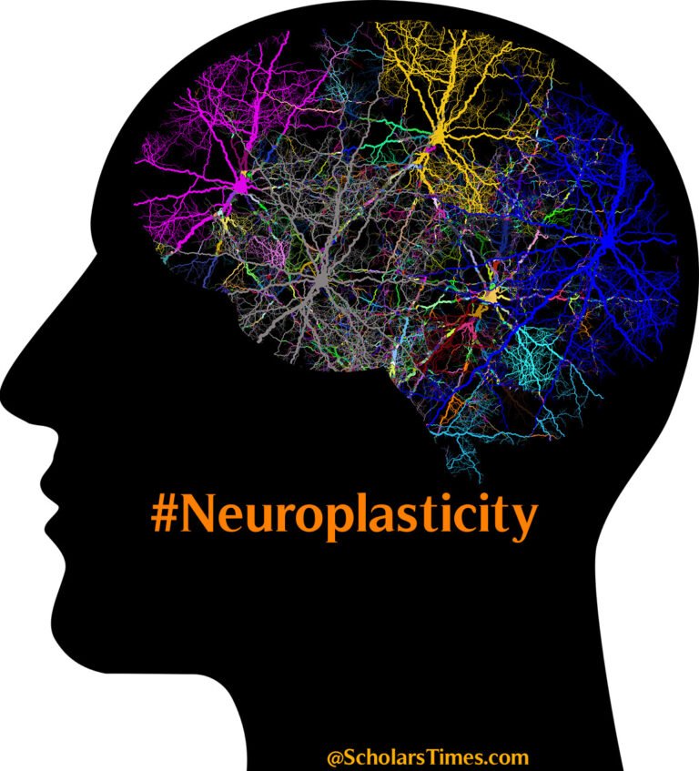 Neuroplasticity
